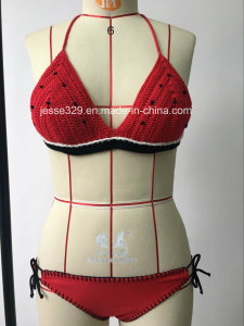 2017 Sexy Ladies Hand-Made Crochet Two-Piece Bikini Swimwear (PP-17003W)