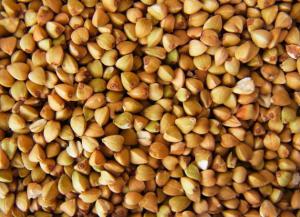 Natural Nutritional Buckwheat Seed D Chiro-Inositol